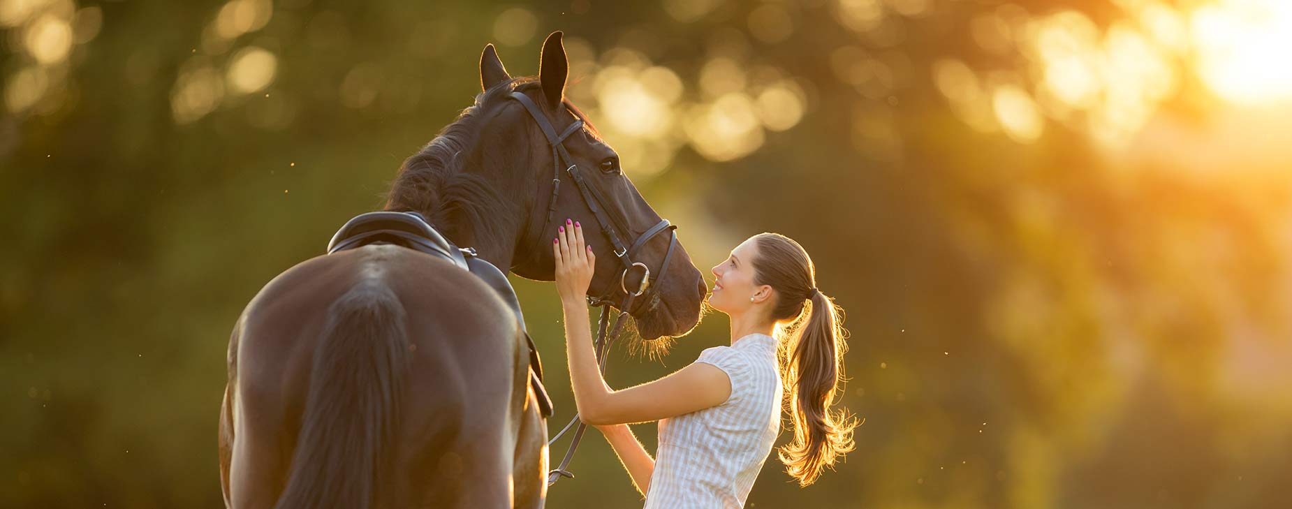 Youngs Animal Hospital is a full-service animal hospital in